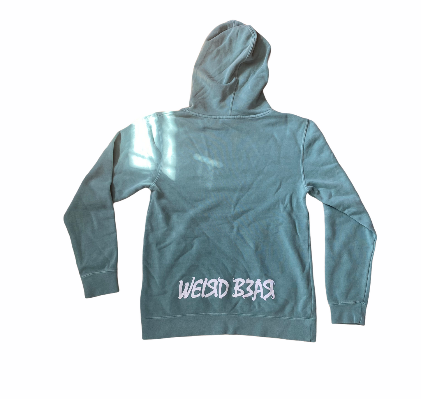 WEIRD B3AR SPRING HOODIE - MINT GREEN
